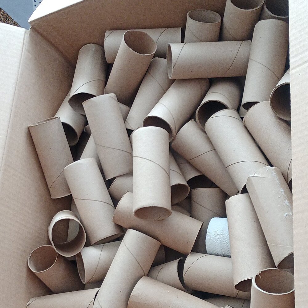 ECO CONSCIENCE  150 Empty Toilet Paper Rolls For Crafting, Gardening